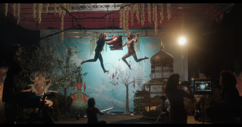 ¡Caigan las Rosas Blancas!